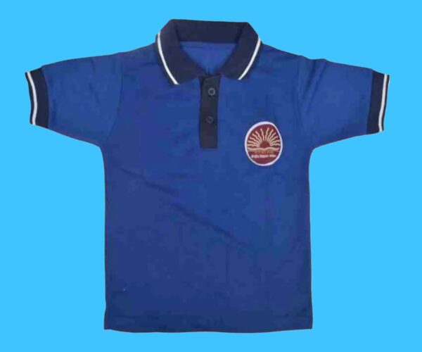Neocardin Polo T-Shirt, Blue with Navy Blue Collar, Short Sleeve Boys and Girls size-24, for 2-3 years old